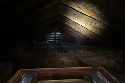 A dark attic seen from the open hatch, with rafters, insulation and daylight showing at a vent